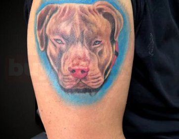 Köpek Portre Dövmesi