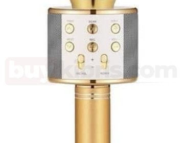 Kablosuz Bluetooth Karaoke Mikrofonu