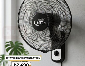 Queen 18