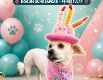 Happy birthday :)