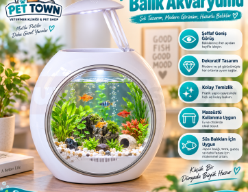 Modern Yuvarlak Balık Akvaryumu – Aydınlatmalı Dekoratif Masaüstü Tasarım