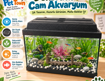 Siyah Kapaklı Dekoratif Cam Akvaryum – Geniş ve Şık Tasarım