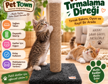 Tırnaklar Direkte, Mobilyalar Güvende! – Kedi Tırmalama Direği