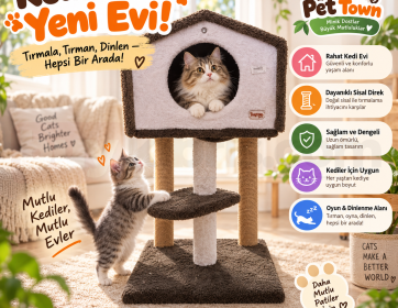 Tırmala, Tırman, Saklan! 😸 Hepsi Bu Kedi Evinde