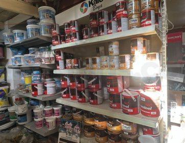 Boyacının eli, Star Gil’in kalitesi