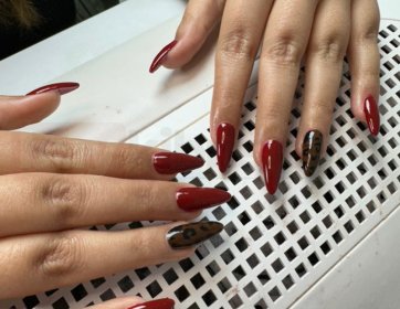 Bordo cesaret, leopard detay güç katar.