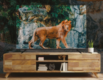 BOTECH TV OLED+  75"