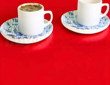 Soft Mavi Yaprak Desenli Türk Kahvesi Fincan Takımı