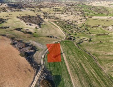 İSKELE YENİ İSKELE – SATILIK ARAZİ 🌿 YOLA YAKIN • YATIRIMA UYGUN • KAÇIRILMAYACAK FİYAT