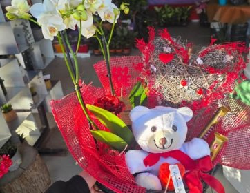 Orkide ve Ayıcıklı Özel Hediye Sepeti