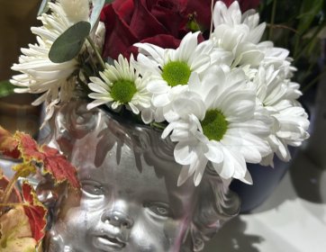 Melek Saksıda Papatya & Gül Aranjmanı