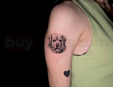 Köpek Portre Dövmesi