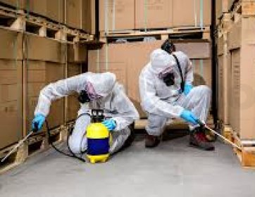 Depo ve Fabrika İçin Profesyonel İlaçlama Çözümleri
