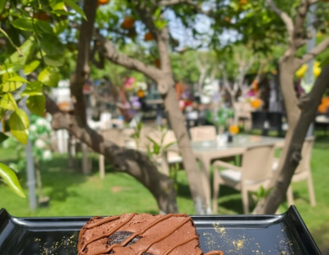 Kıbrıs’ta Doğa İçinde Tatlı Keyfi | Açık Hava Cafe Deneyimi