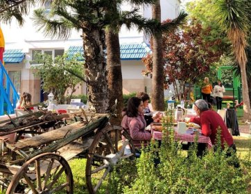 Doğayla İç İçe Girne Kahvaltı Deneyimi