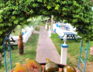 Girne’de Doğal İncir Reçeli ile Geleneksel Kahvaltı Keyfi