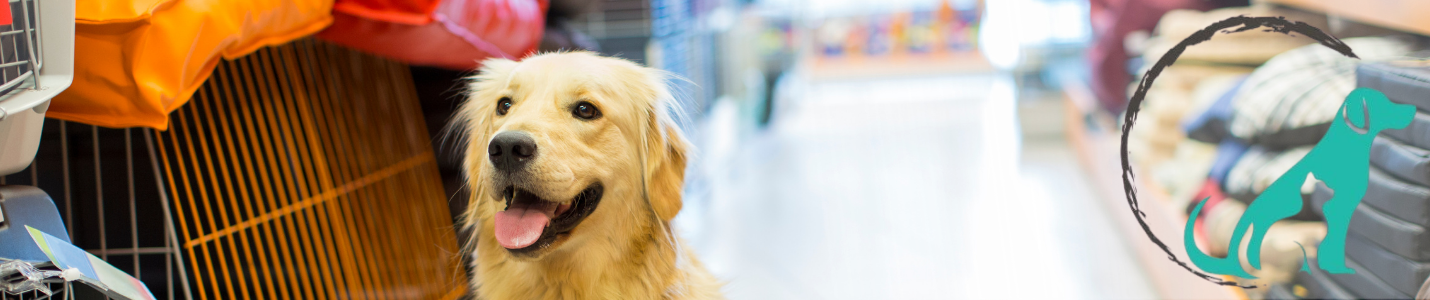 Pet Town Pet Shop / Veteriner Kliniği kapak görseli